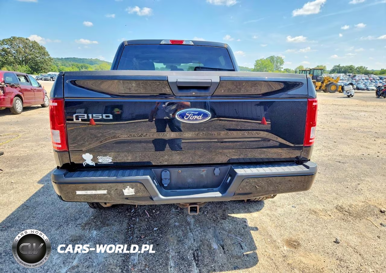 2017 Ford F150 Supercrew VIN:1FTEW1EP3HKC64488 - 6