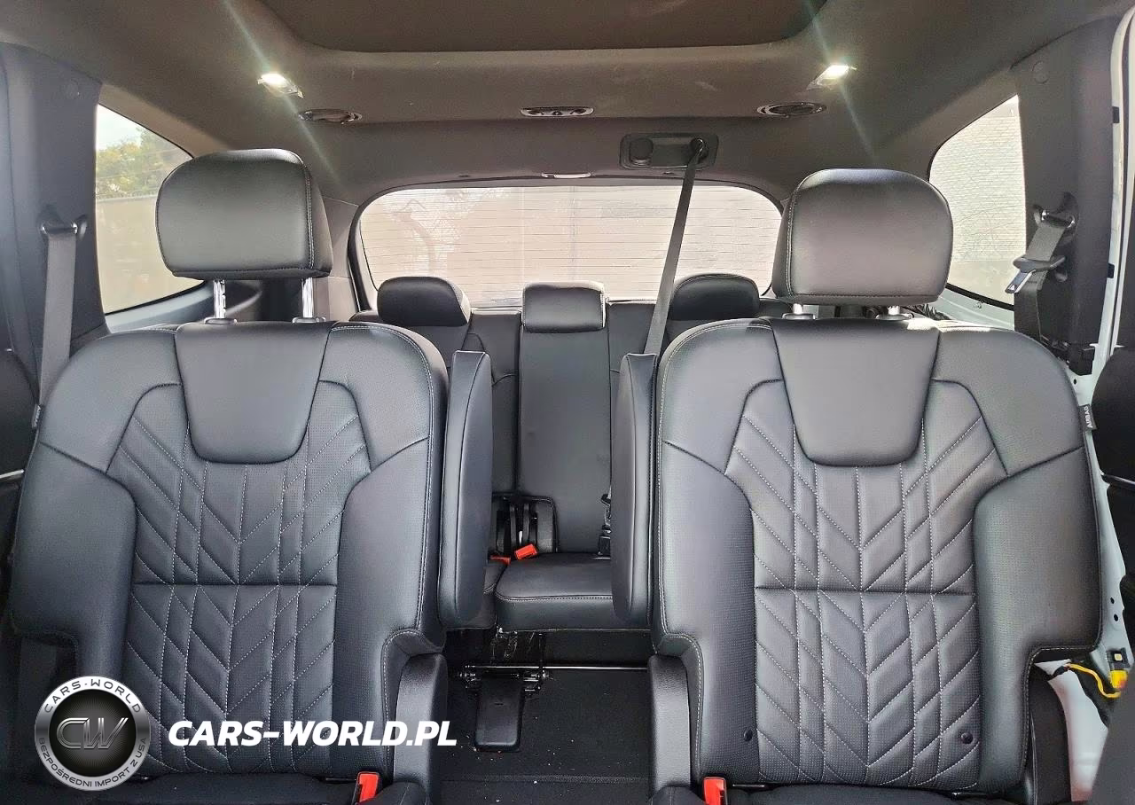 2025 Kia Telluride Sx X-Line VIN:5XYP5DGC7SG715250 - 10