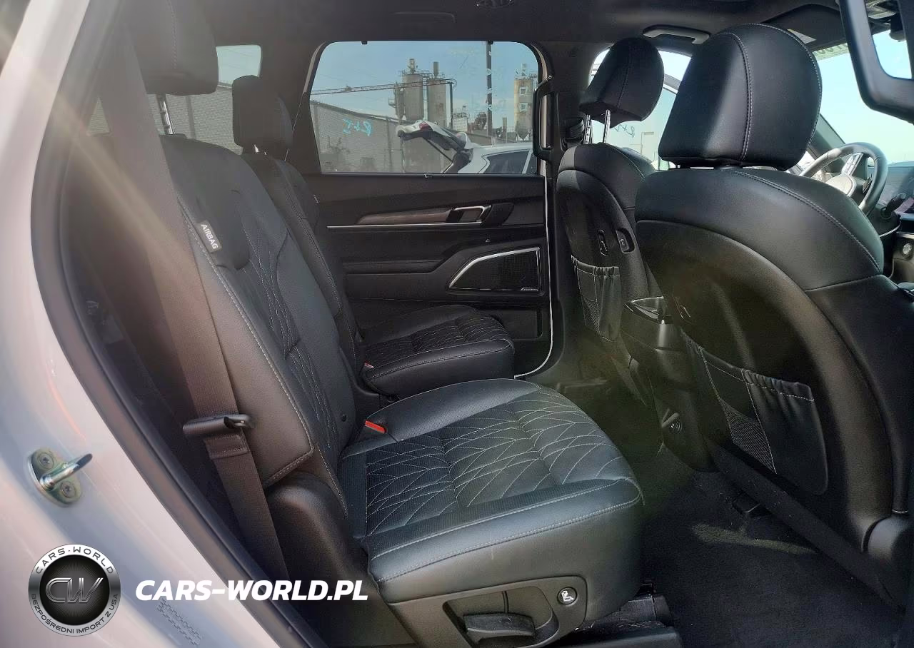 2025 Kia Telluride Sx X-Line VIN:5XYP5DGC7SG715250 - 11