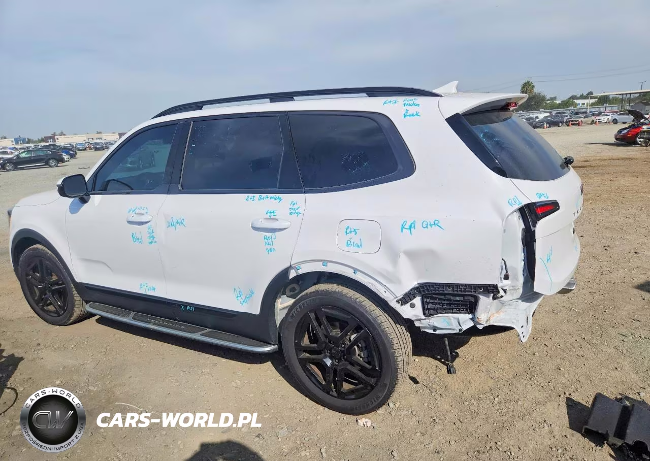 2025 Kia Telluride Sx X-Line VIN:5XYP5DGC7SG715250 - 2