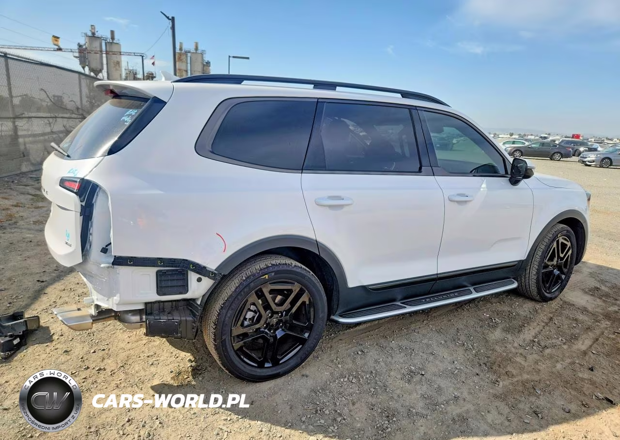 2025 Kia Telluride Sx X-Line VIN:5XYP5DGC7SG715250 - 3