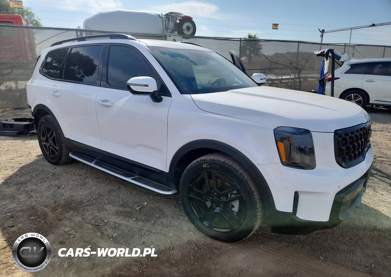 2025 Kia Telluride Sx X-Line VIN:5XYP5DGC7SG715250 - 4