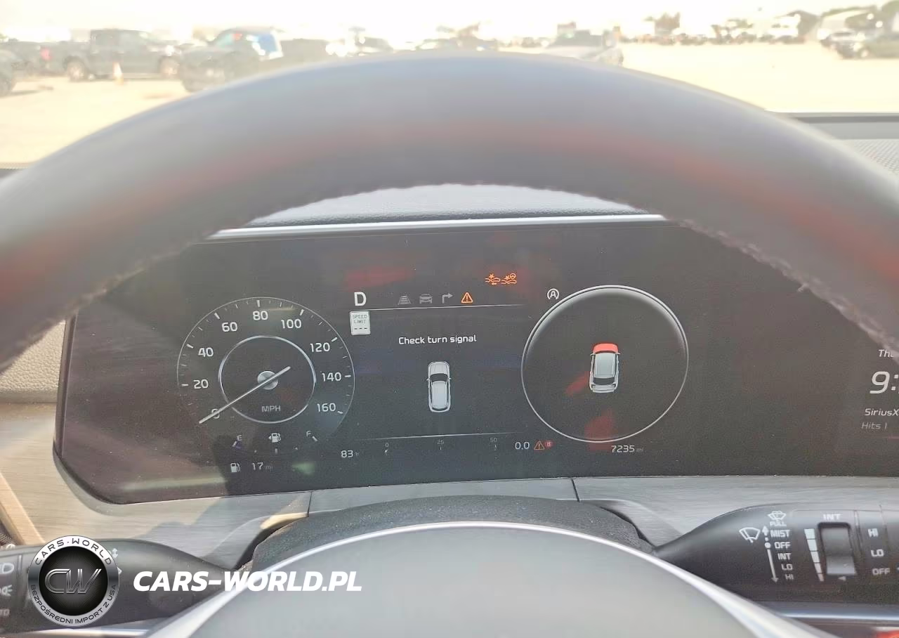 2025 Kia Telluride Sx X-Line VIN:5XYP5DGC7SG715250 - 9