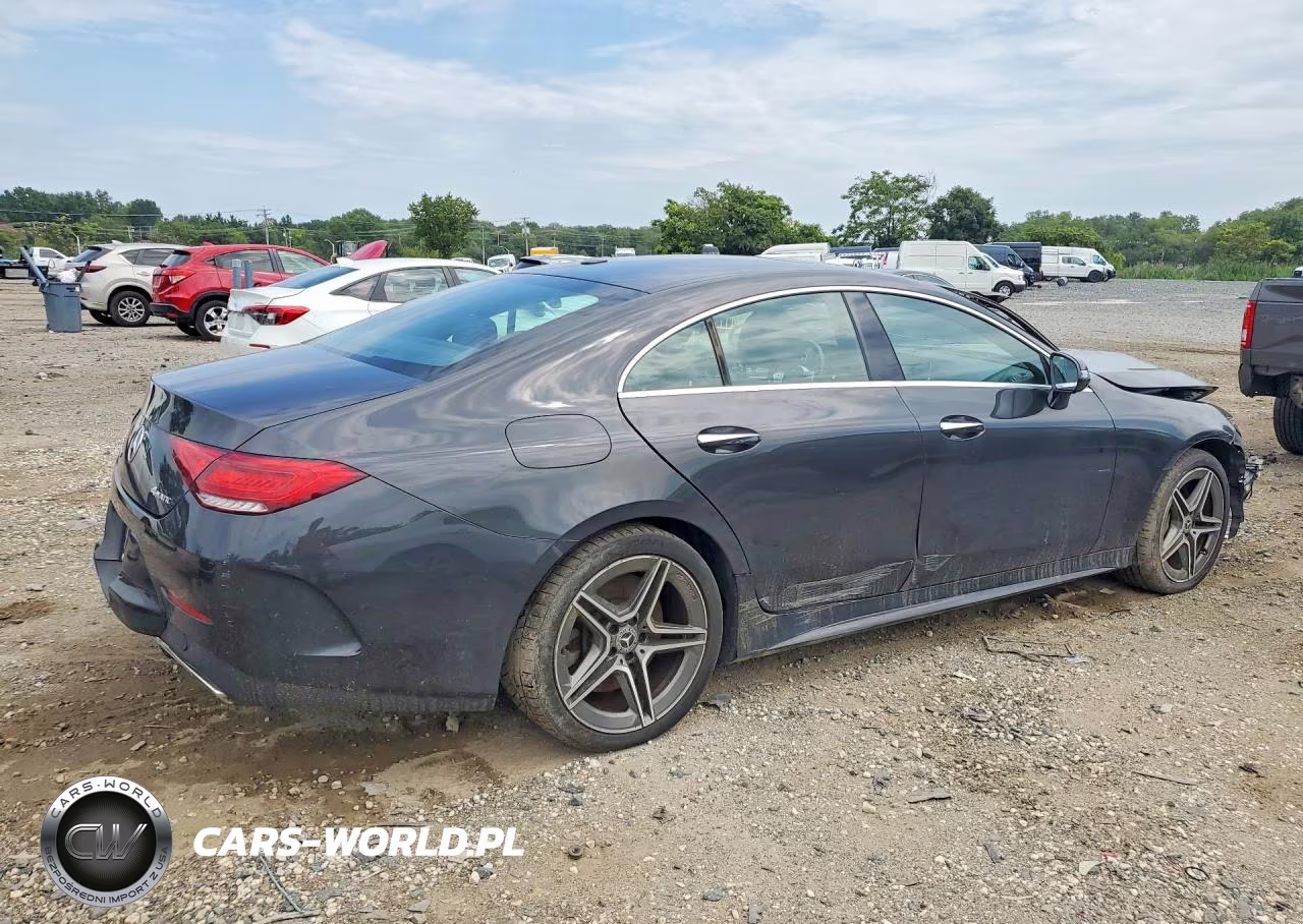 2020 Mercedes-Benz Cls 450 4Matic VIN:WDD2J5KB3LA050459 - 3