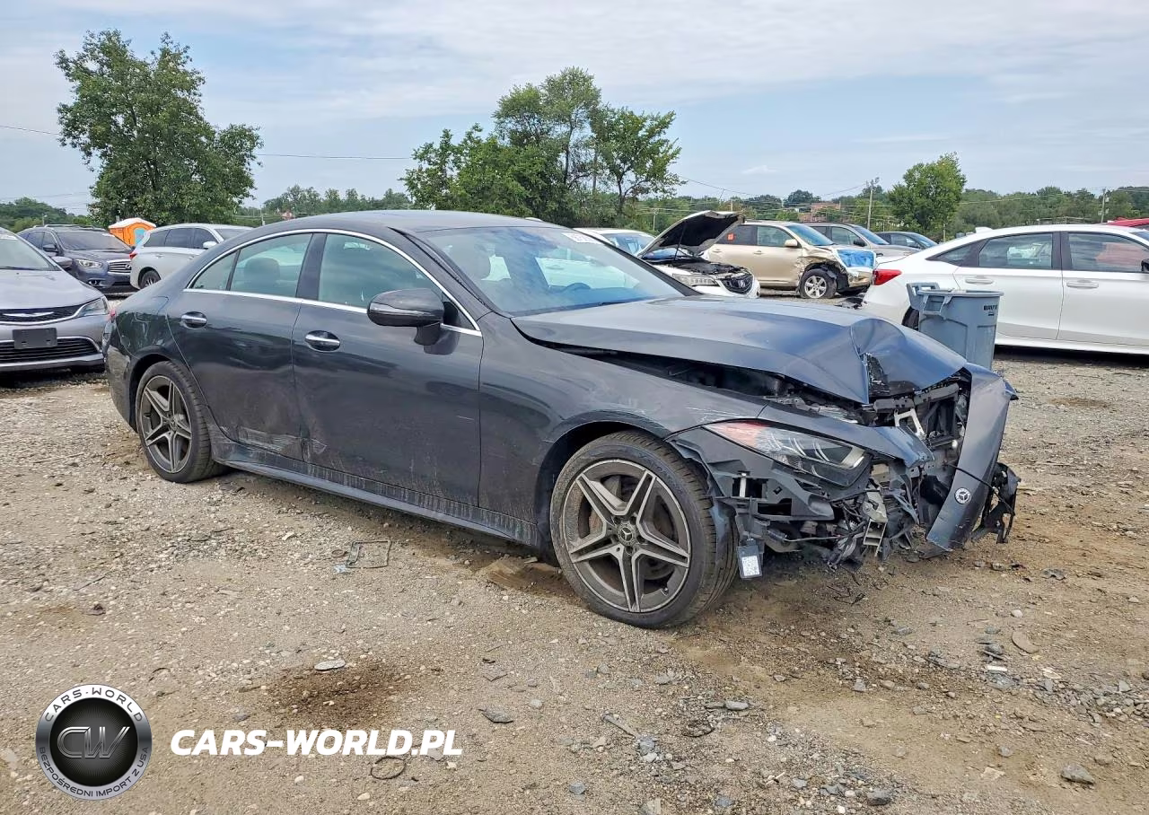 2020 Mercedes-Benz Cls 450 4Matic VIN:WDD2J5KB3LA050459 - 4