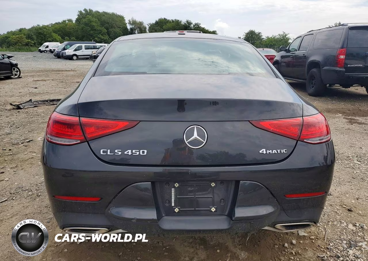 2020 Mercedes-Benz Cls 450 4Matic VIN:WDD2J5KB3LA050459 - 6
