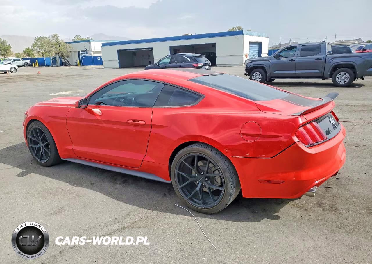 2017 Ford Mustang VIN:1FA6P8AM2H5346514 - 2