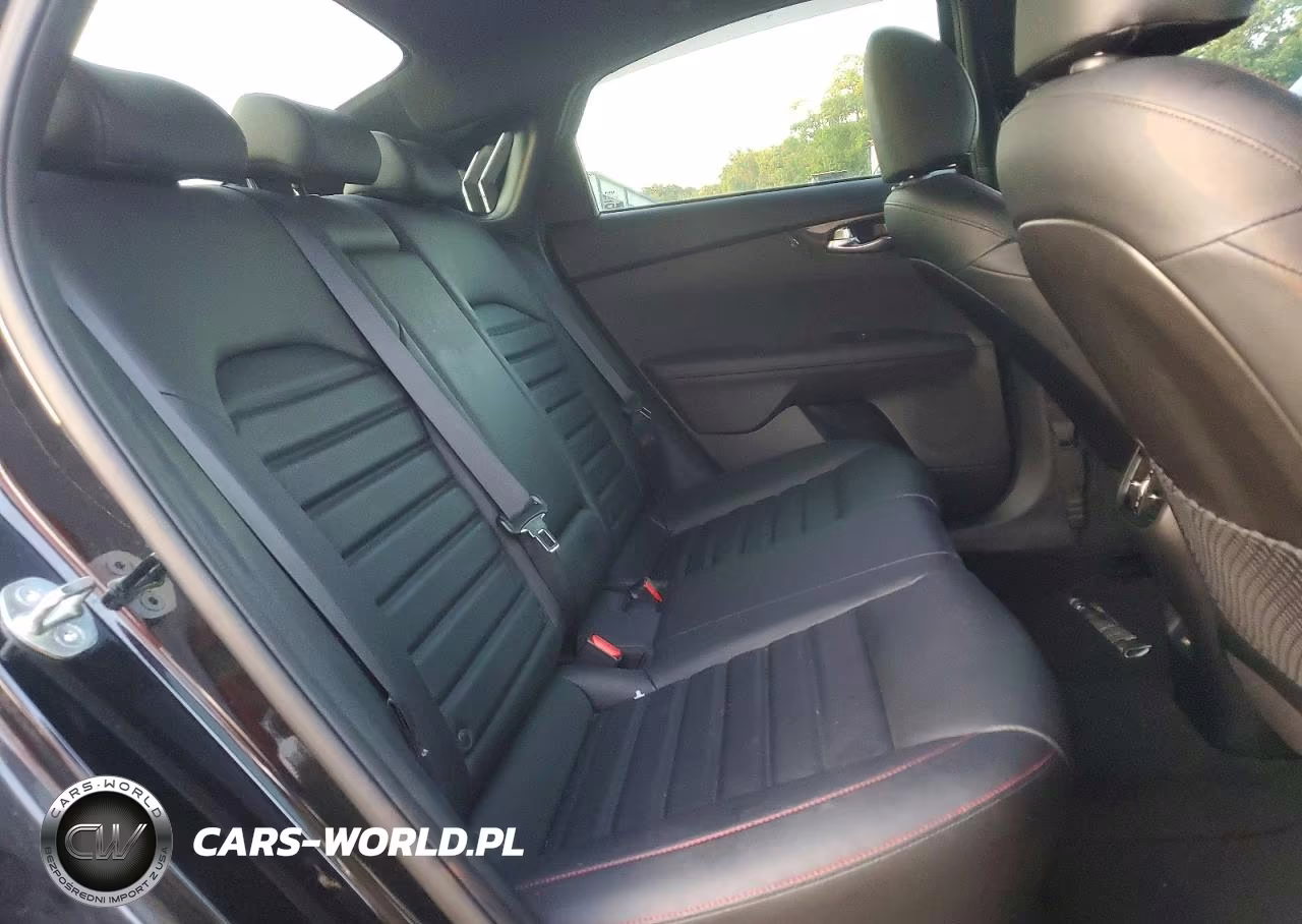 2023 Kia Forte Gt VIN:3KPF44AC1PE599460 - 10