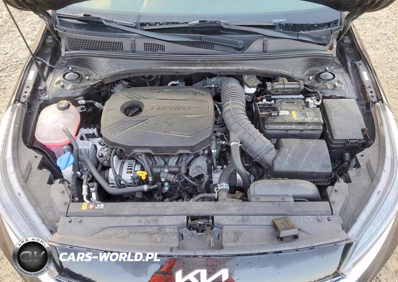 2023 Kia Forte Gt VIN:3KPF44AC1PE599460 - 11