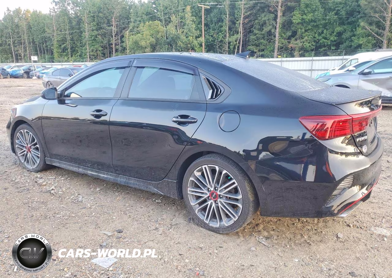 2023 Kia Forte Gt VIN:3KPF44AC1PE599460 - 2