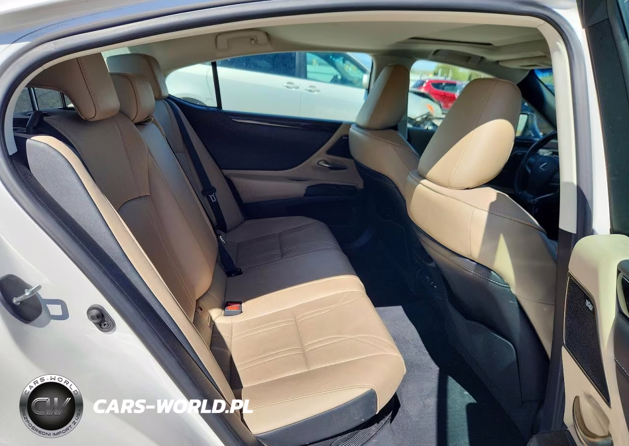 2021 Lexus Es 300H Luxury VIN:58AEA1C13MU005550 - 10