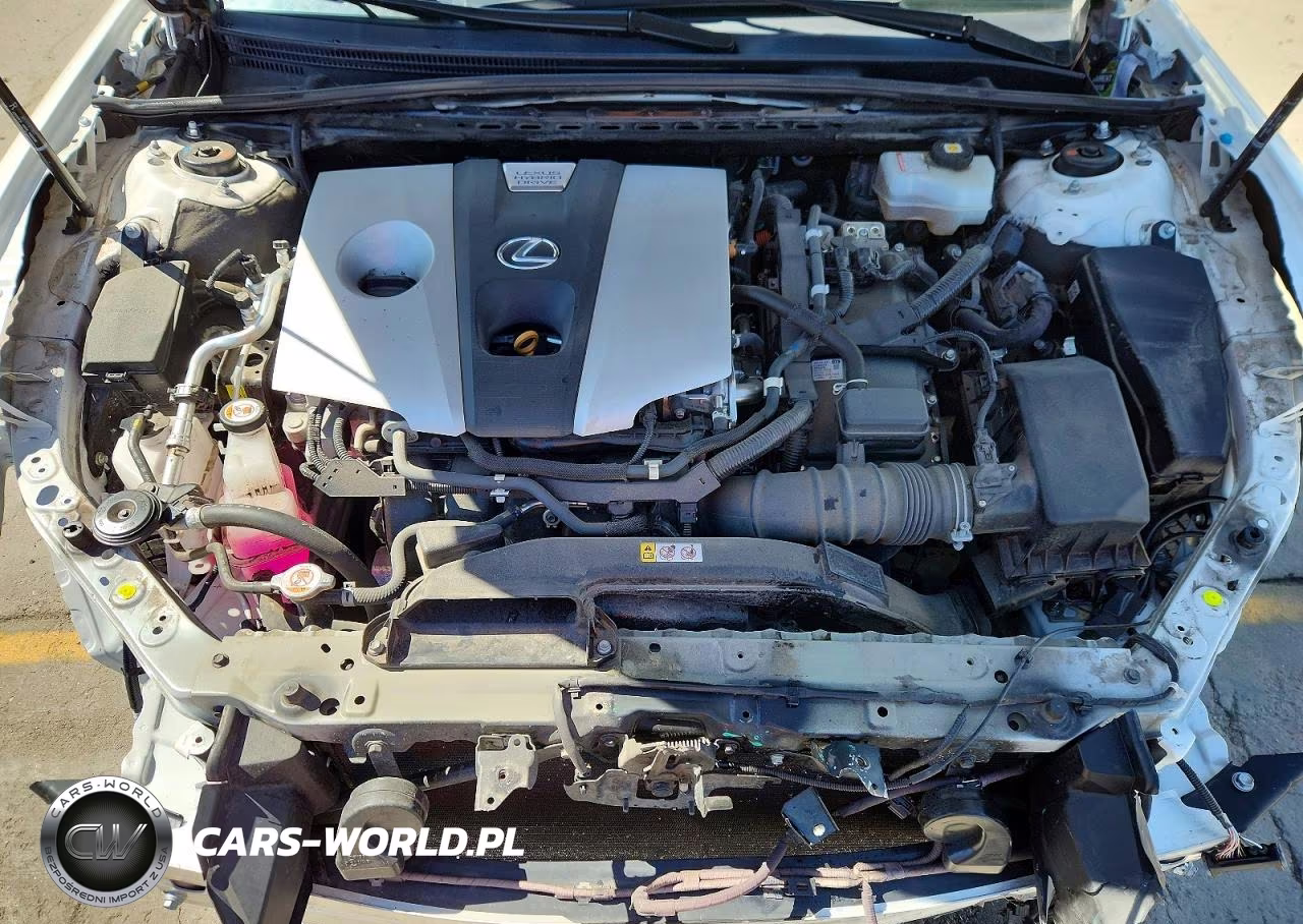 2021 Lexus Es 300H Luxury VIN:58AEA1C13MU005550 - 11