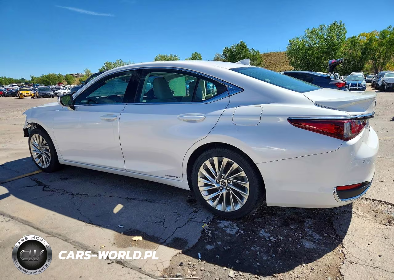 2021 Lexus Es 300H Luxury VIN:58AEA1C13MU005550 - 2