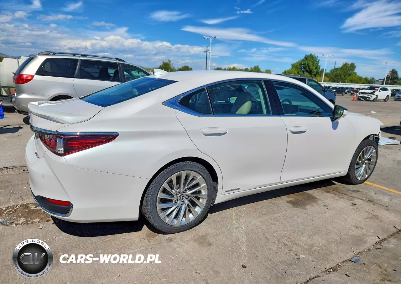 2021 Lexus Es 300H Luxury VIN:58AEA1C13MU005550 - 3