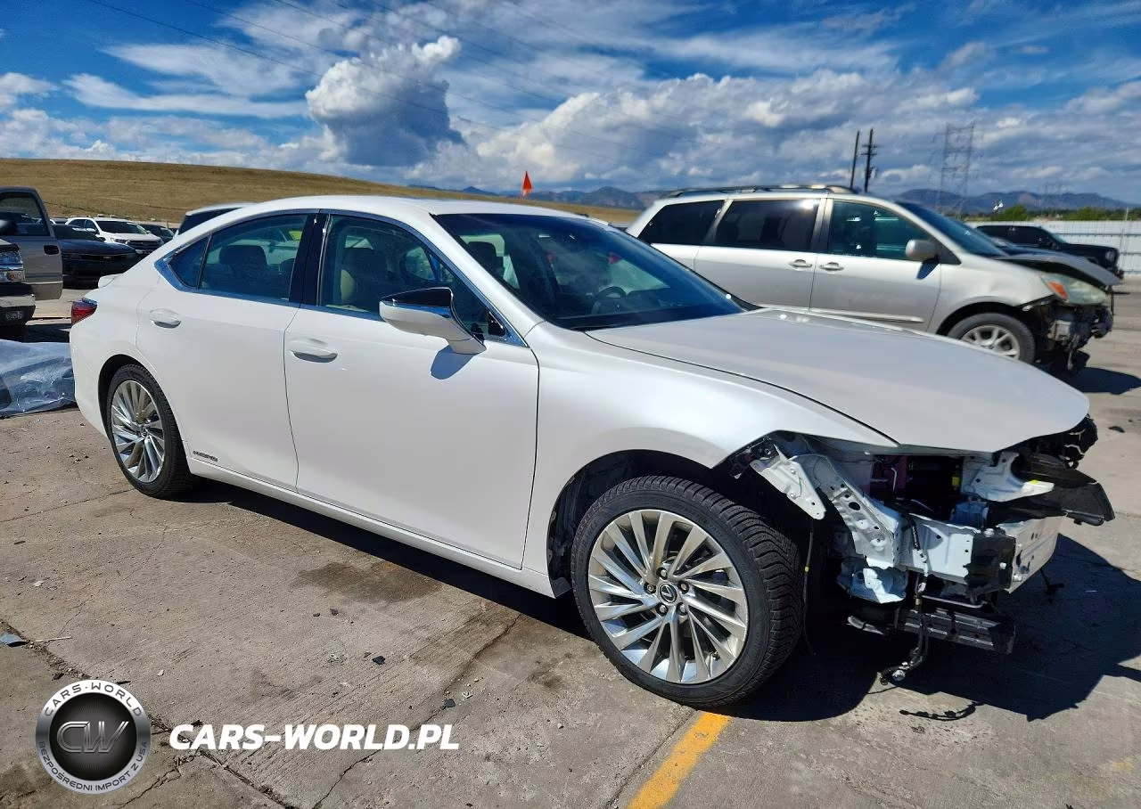 2021 Lexus Es 300H Luxury VIN:58AEA1C13MU005550 - 4