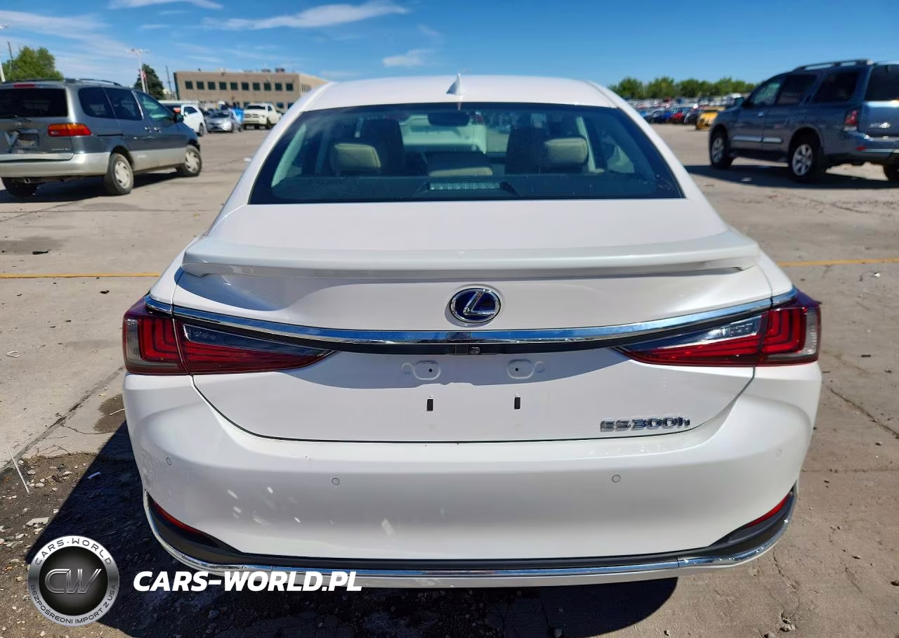 2021 Lexus Es 300H Luxury VIN:58AEA1C13MU005550 - 6