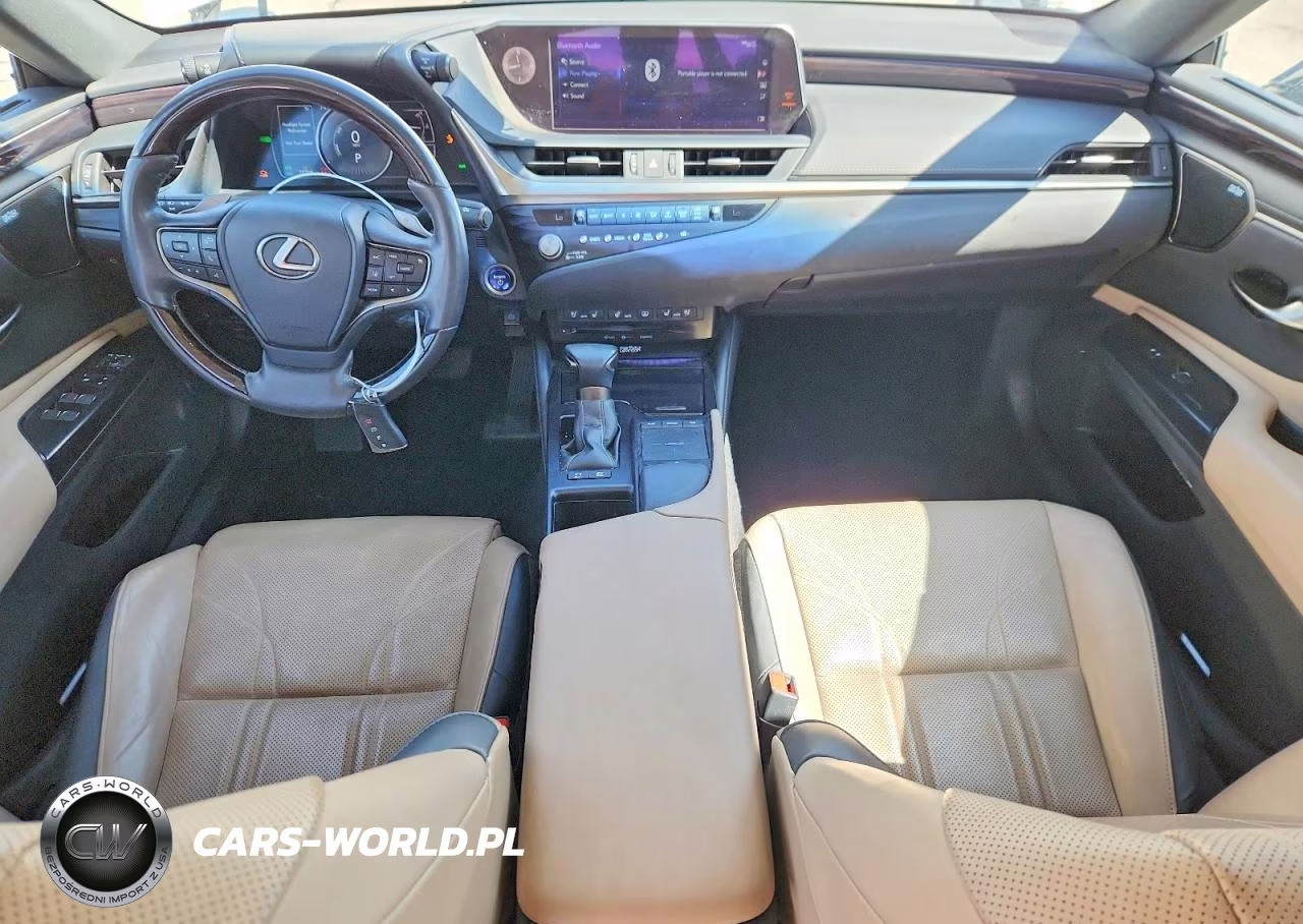 2021 Lexus Es 300H Luxury VIN:58AEA1C13MU005550 - 8