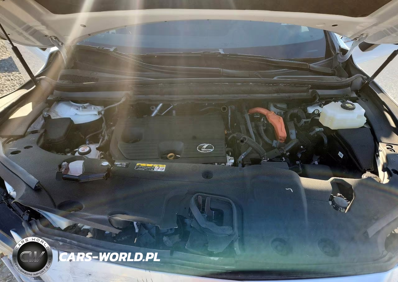 2025 Lexus Rx 350H Premium VIN:2T2BBMCAXSC097372 - 12