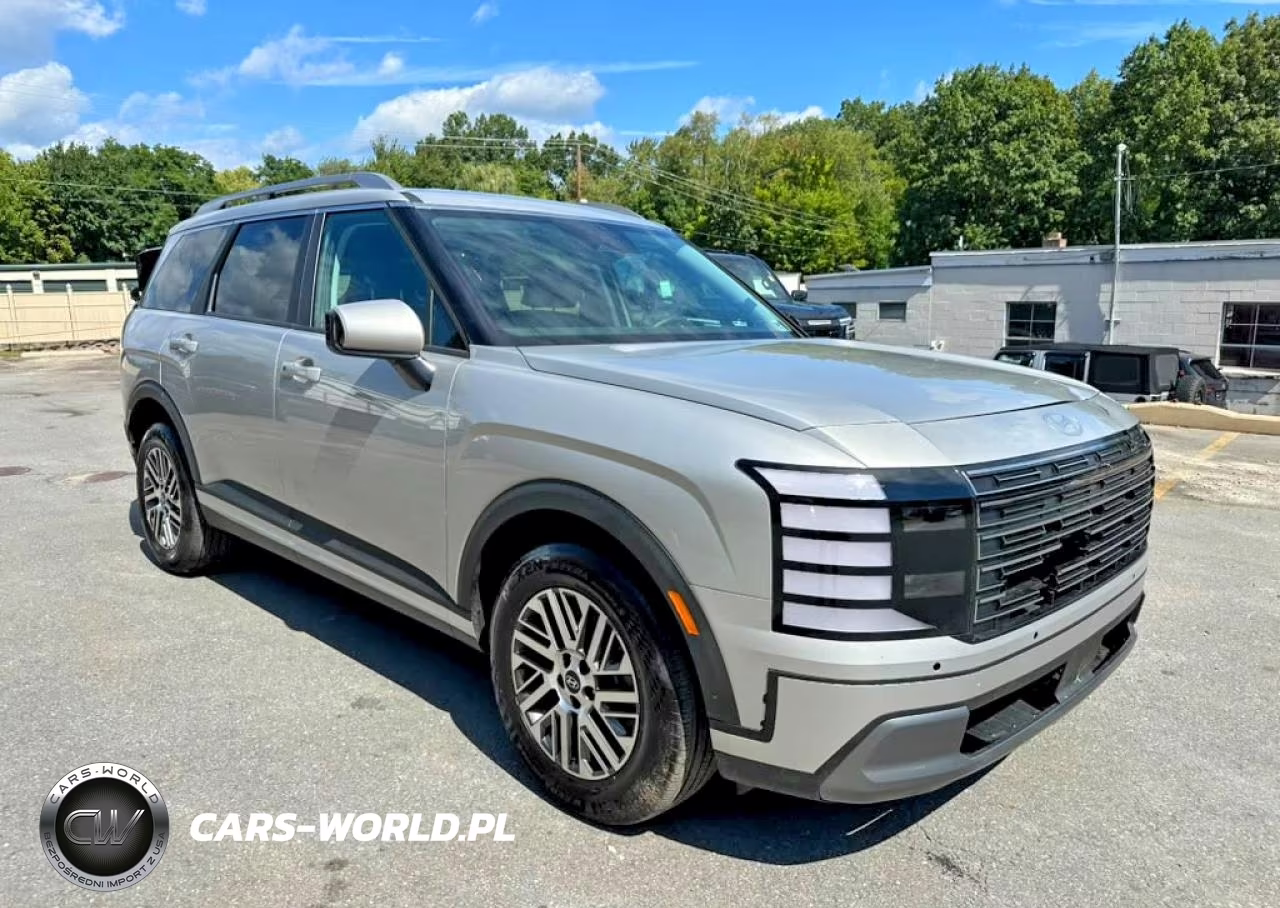 2026 Hyundai Palisade Sel VIN:KM8RLES28TU121782 - 4