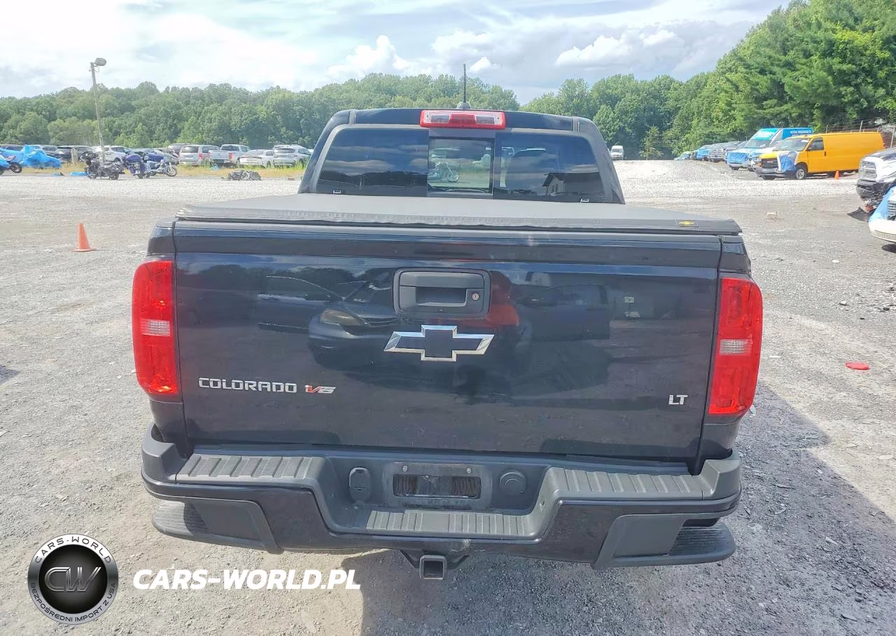 2017 Chevrolet Colorado Lt VIN:1GCGTCEN3H1206902 - 6