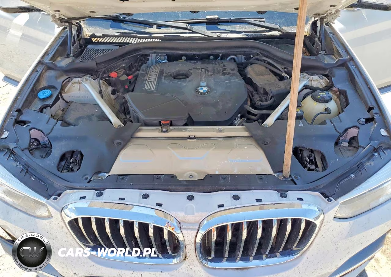 2019 BMW X3 Sdrive30I VIN:5UXTR7C52KLF37202 - 12