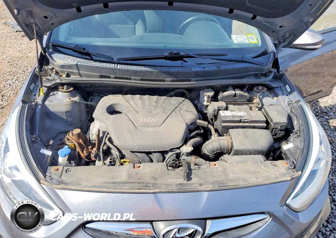 2014 Hyundai Accent Se VIN:KMHCU5AE0EU167656 - 12
