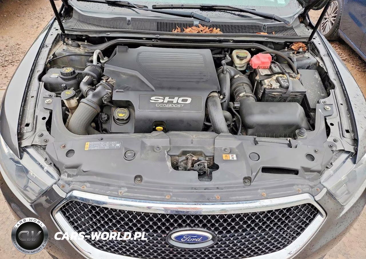 2015 Ford Taurus Sho VIN:1FAHP2KT9FG202486 - 11