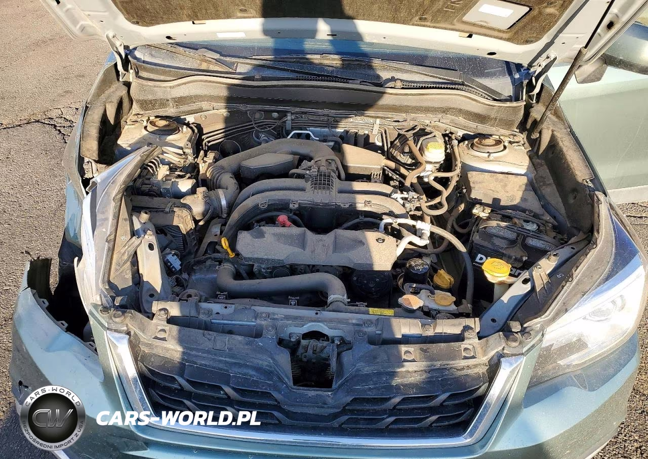 2017 Subaru Forester VIN:JF2SJARC1HH537239 - 11