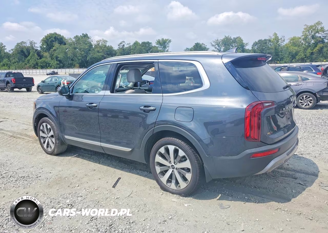 2022 Kia Telluride S VIN:5XYP64HC6NG321397 - 2