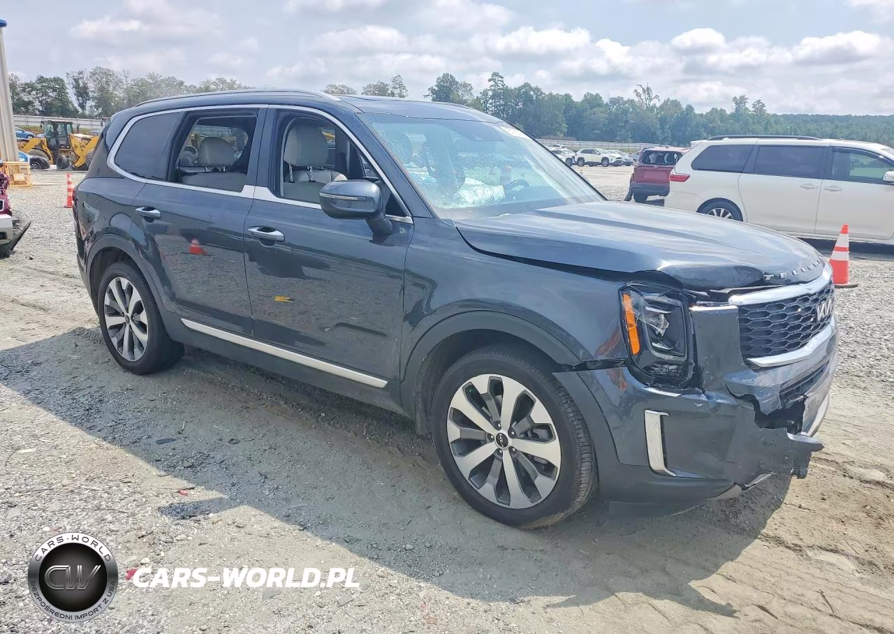 2022 Kia Telluride S VIN:5XYP64HC6NG321397 - 4