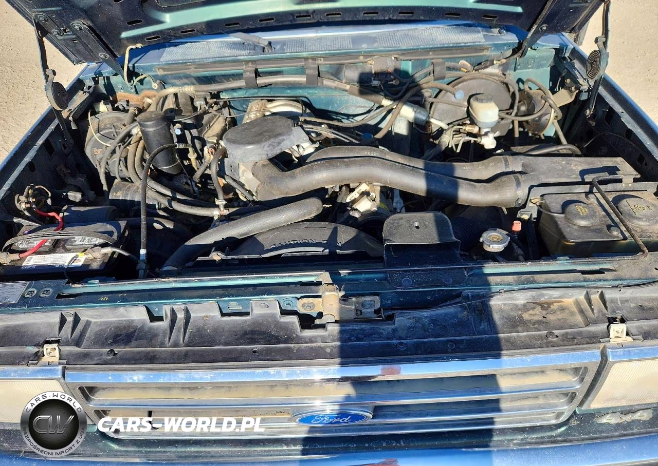 1991 Ford F150 VIN:1FTEF14N7MPB22061 - 11