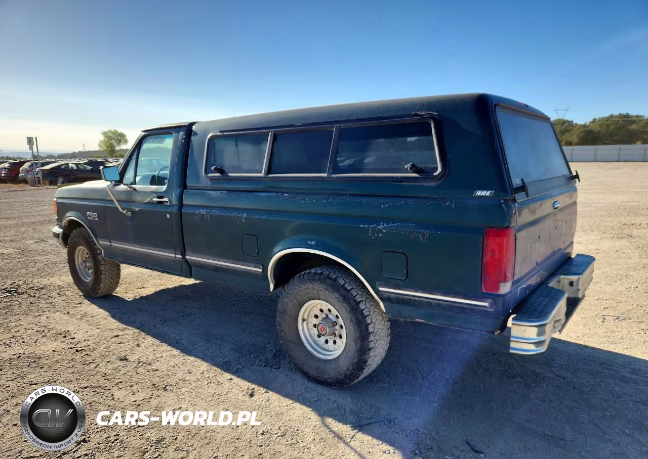 1991 Ford F150 VIN:1FTEF14N7MPB22061 - 2