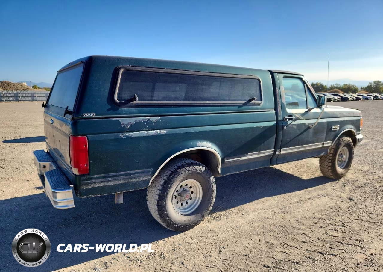 1991 Ford F150 VIN:1FTEF14N7MPB22061 - 3