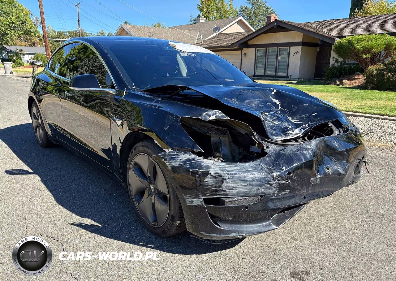 2019 Tesla Model 3