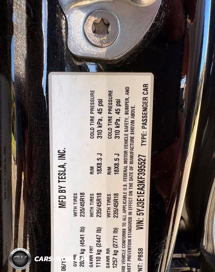 2019 Tesla Model 3 VIN:5YJ3E1EA3KF395527 - 10