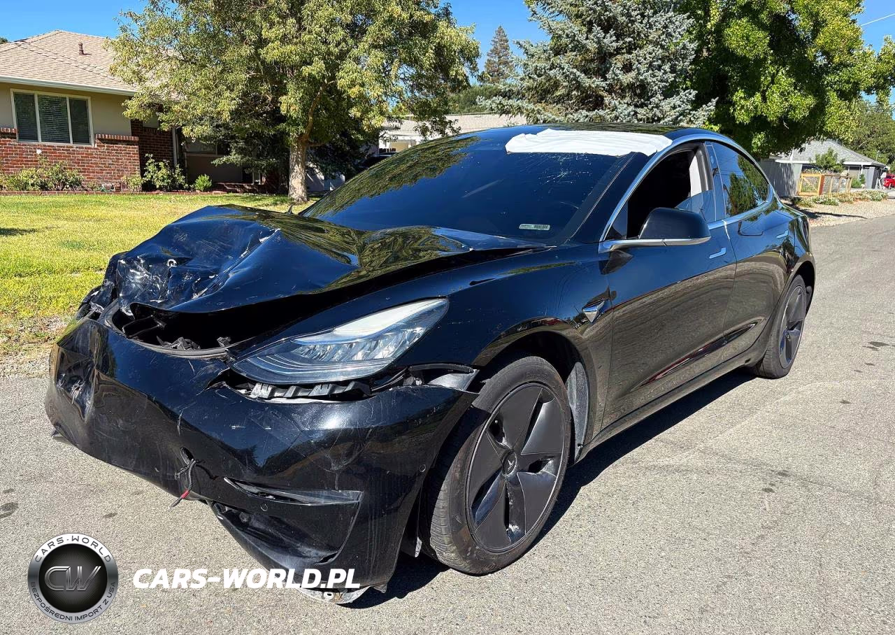 2019 Tesla Model 3 VIN:5YJ3E1EA3KF395527 - 2