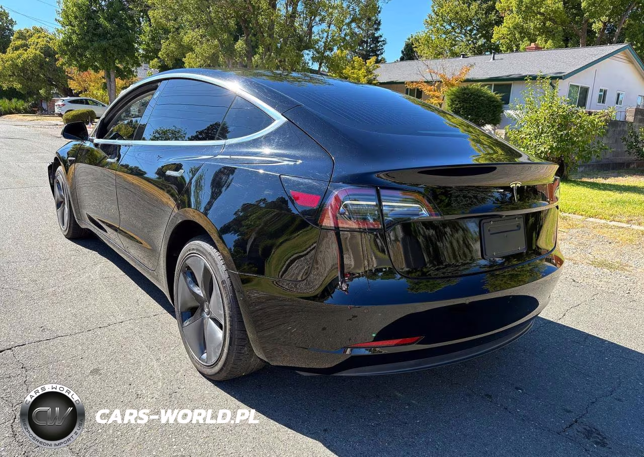 2019 Tesla Model 3 VIN:5YJ3E1EA3KF395527 - 3