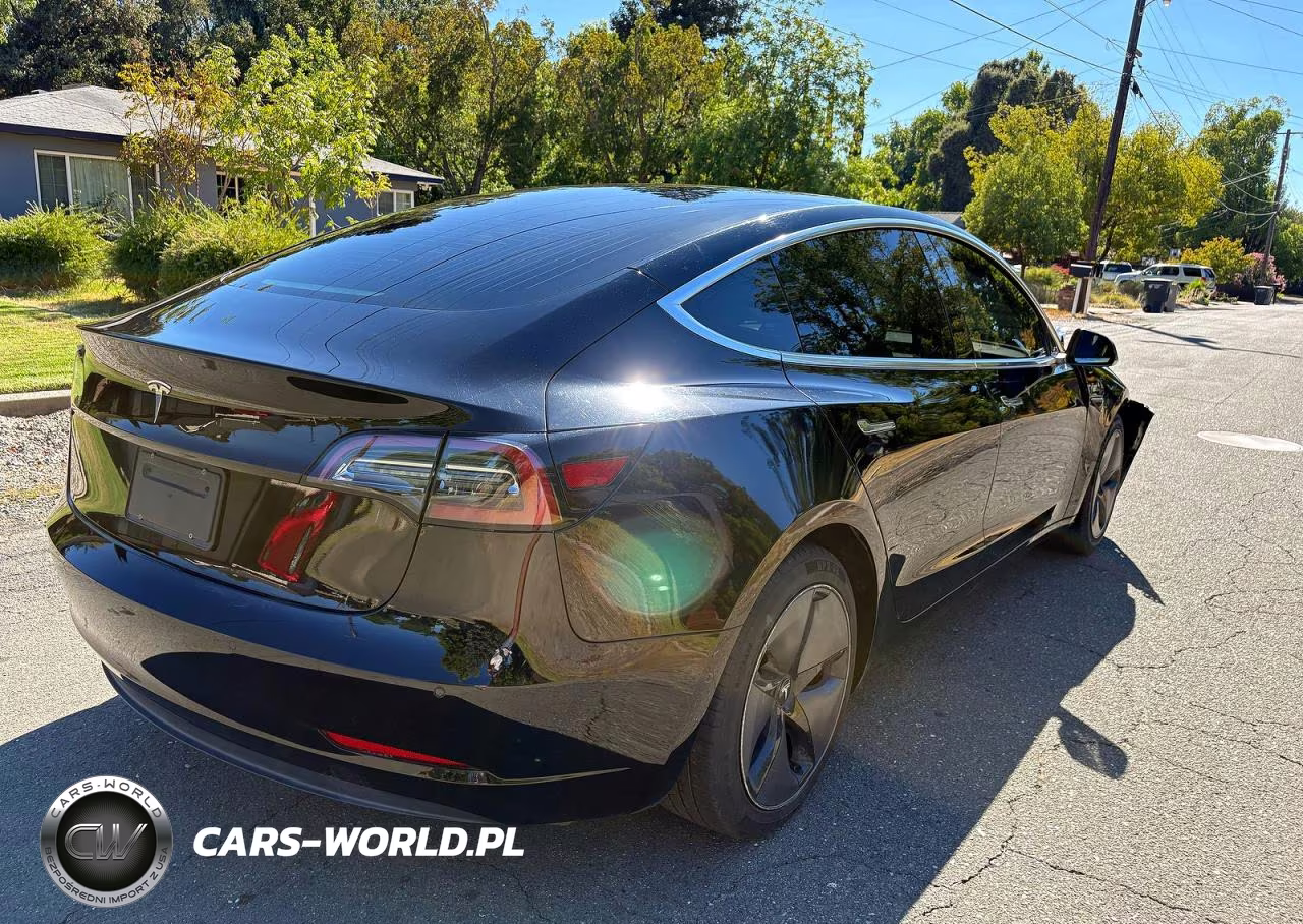 2019 Tesla Model 3 VIN:5YJ3E1EA3KF395527 - 4