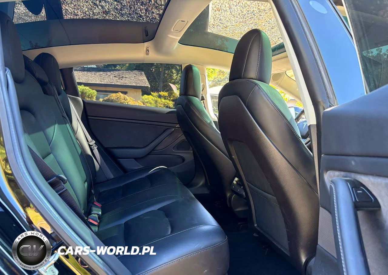 2019 Tesla Model 3 VIN:5YJ3E1EA3KF395527 - 6
