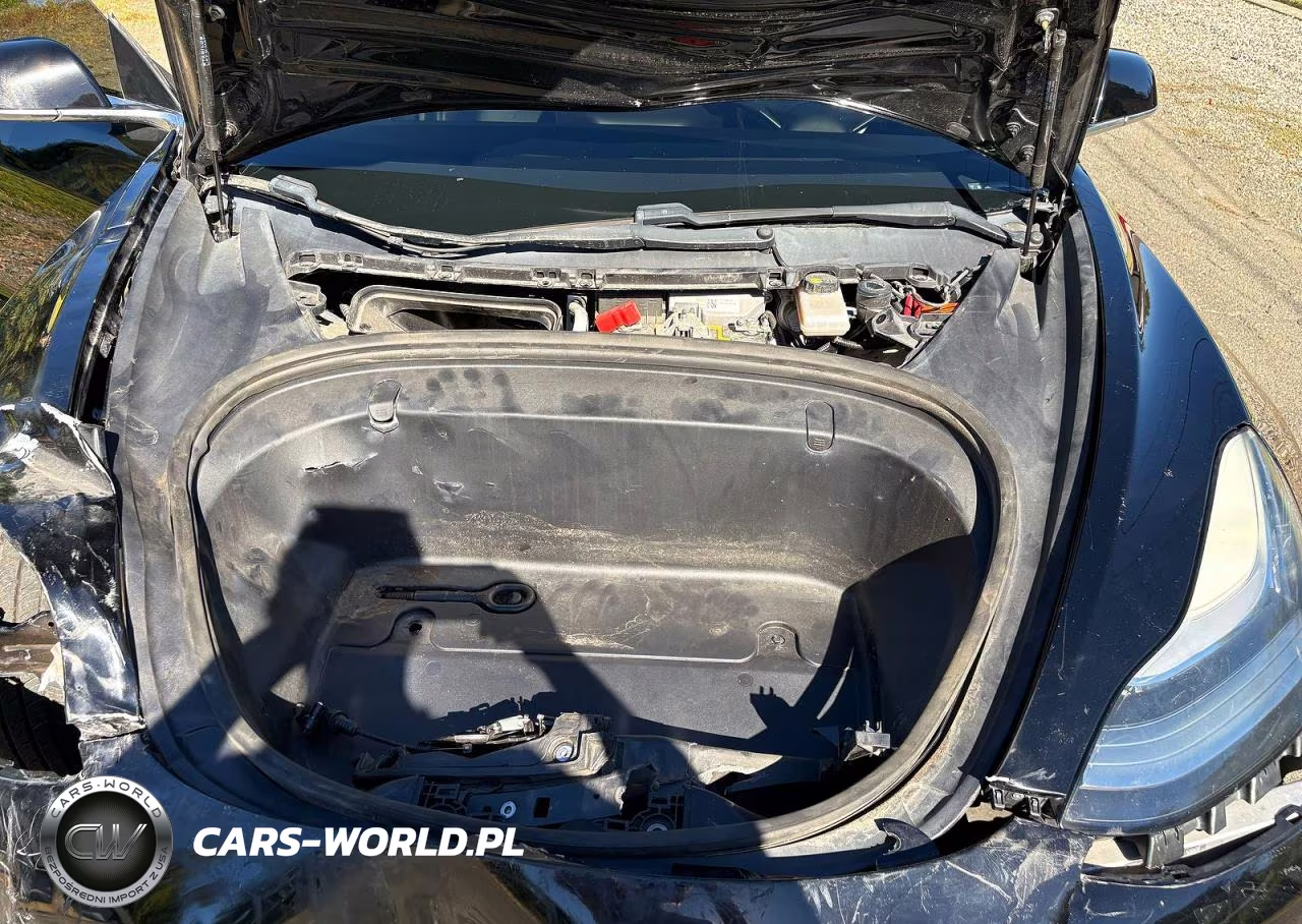 2019 Tesla Model 3 VIN:5YJ3E1EA3KF395527 - 7