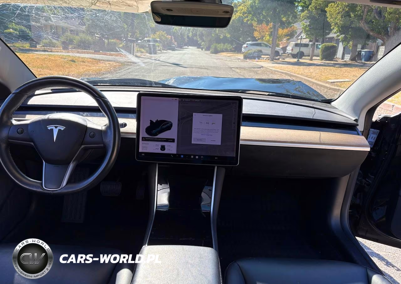 2019 Tesla Model 3 VIN:5YJ3E1EA3KF395527 - 9