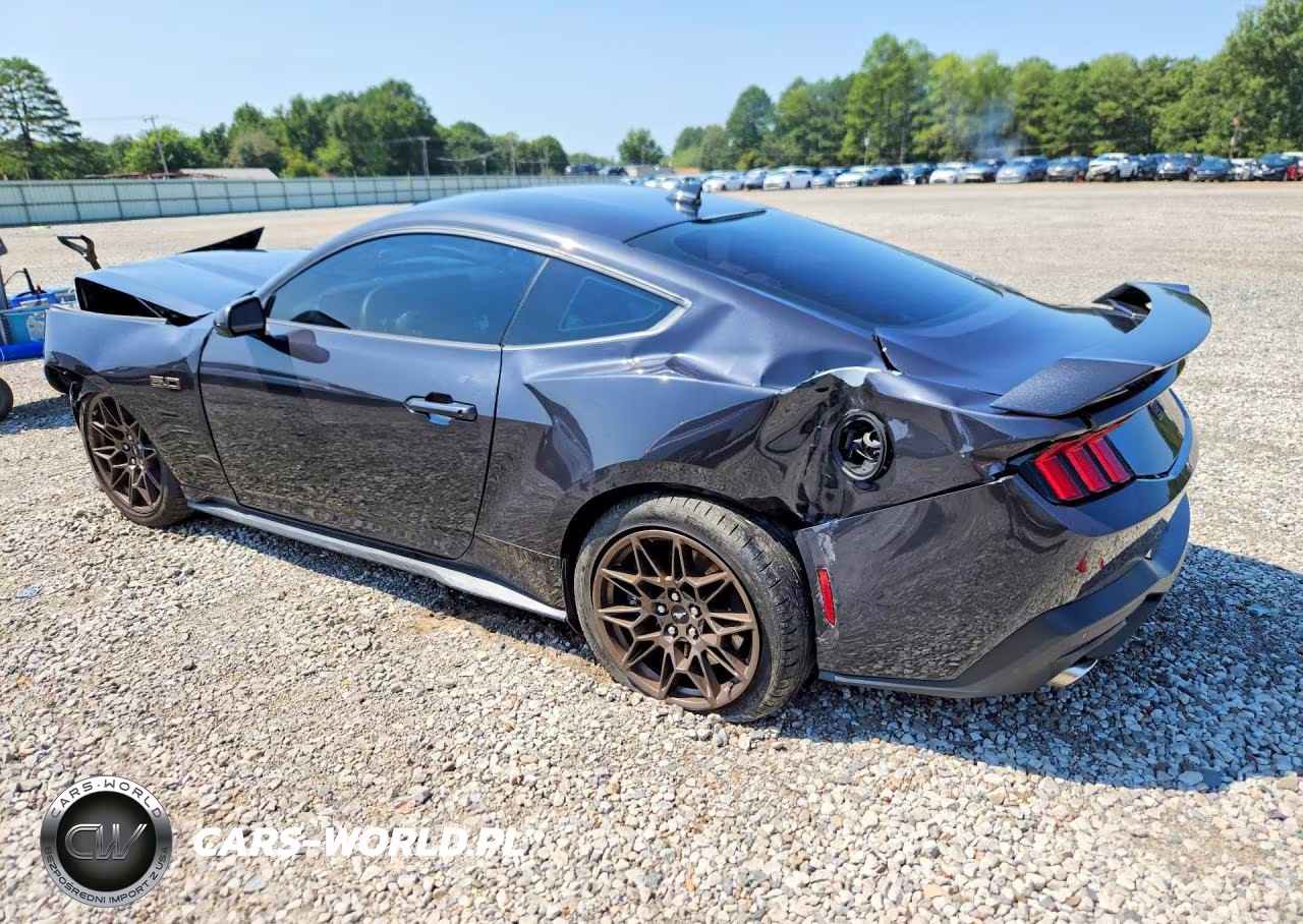 2024 Ford Mustang Gt VIN:1FA6P8CF4R5402016 - 2