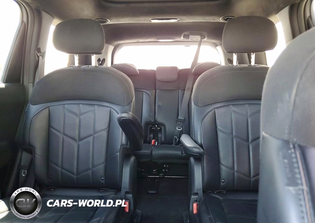 2027 Kia Telluride X-Pro Sx Prestige VIN:5XYPLES10VG021148 - 10