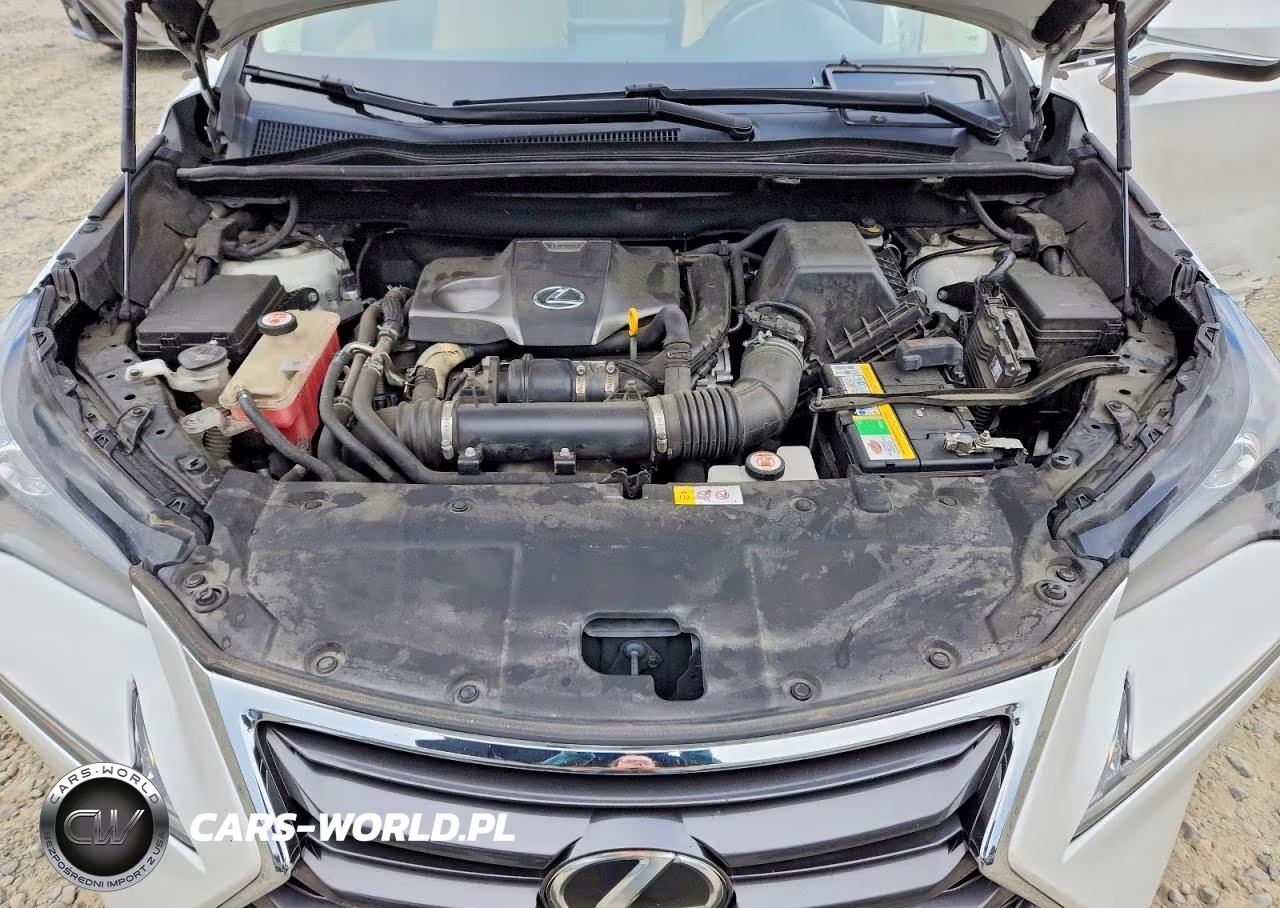 2017 Lexus Nx 200T Base VIN:JTJBARBZ5H2109346 - 12