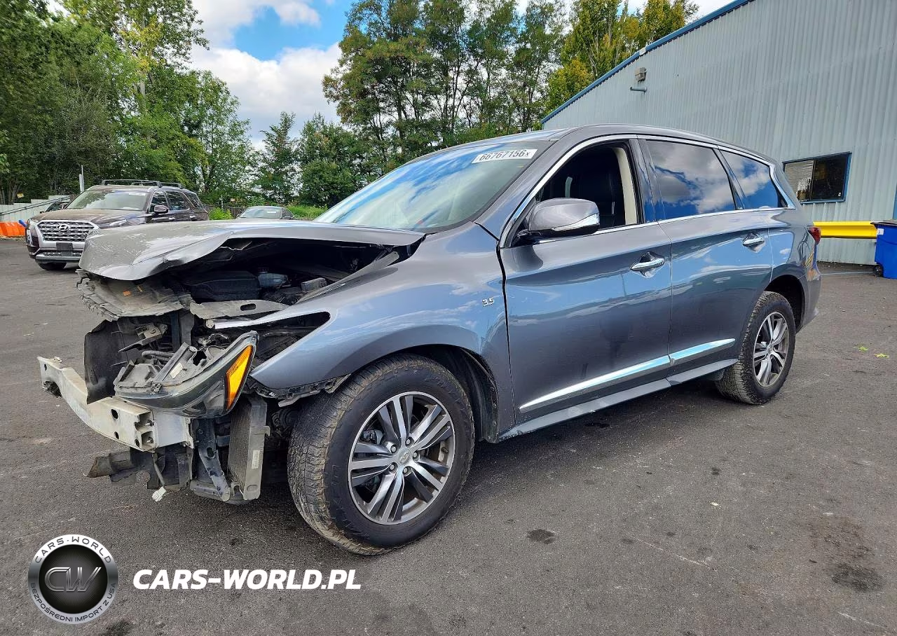 2020 Infiniti Qx60 Pure VIN:5N1DL0MM9LC531461 - 1