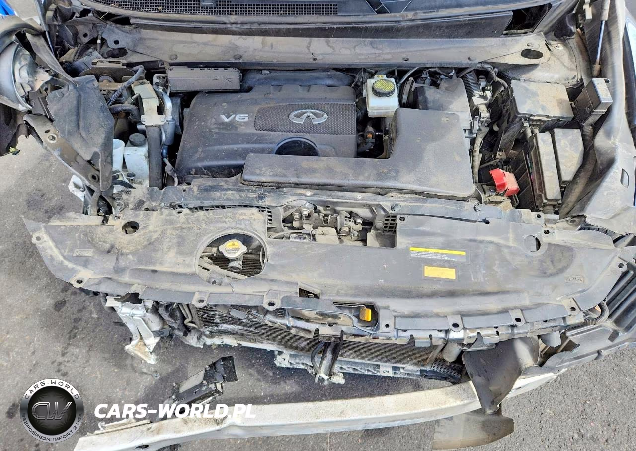 2020 Infiniti Qx60 Pure VIN:5N1DL0MM9LC531461 - 12
