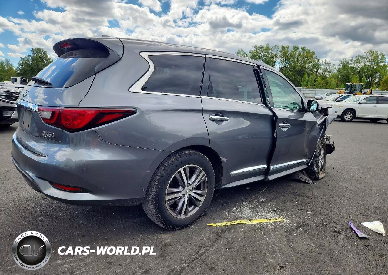 2020 Infiniti Qx60 Pure VIN:5N1DL0MM9LC531461 - 3