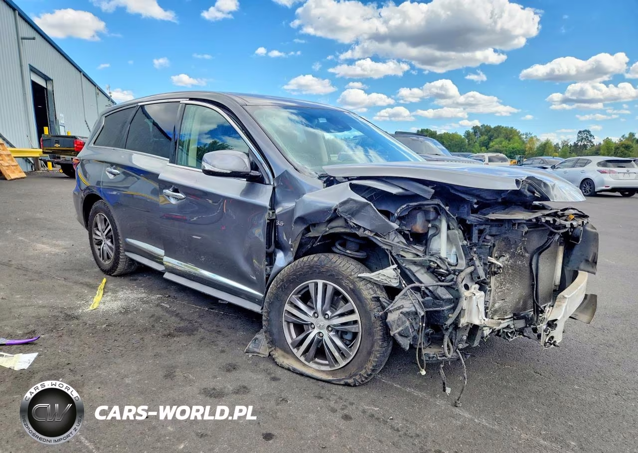 2020 Infiniti Qx60 Pure VIN:5N1DL0MM9LC531461 - 4