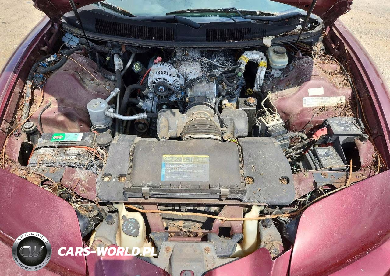 2001 Pontiac Firebird VIN:2G2FS22K612132019 - 11