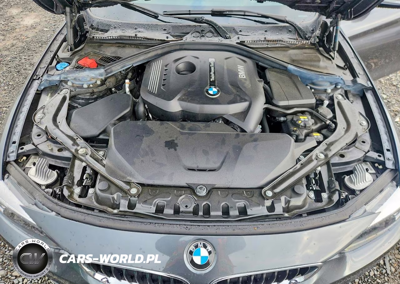 2020 BMW 430I VIN:WBA4Z1C07L5S03352 - 11